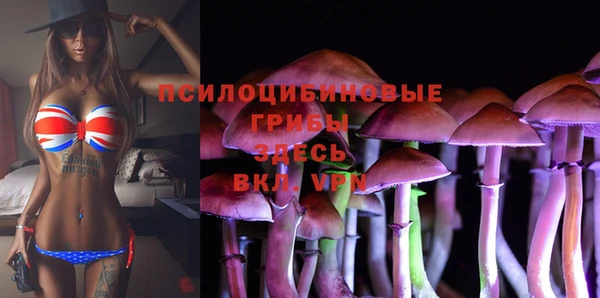соль курить ск Дедовск