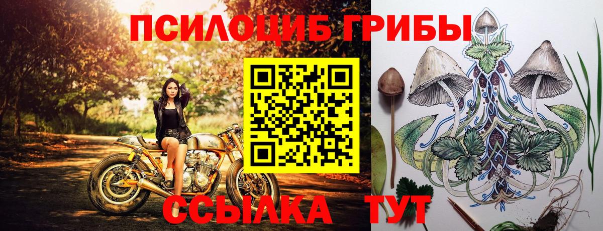 Зеленокумск  Галлюциногенные грибы Magic Shrooms  Вход с VPN  закладка  Галлюциногенные грибы Psilocybine cubensis 