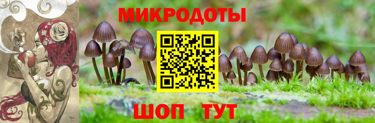 Галлюциногенные грибы прущие грибы Зеленокумск