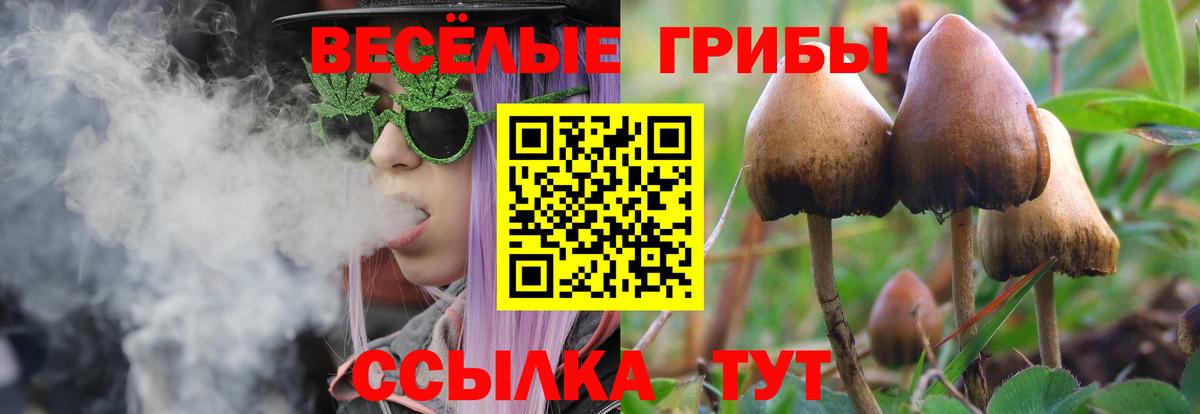 Галлюциногенные грибы MAGIC MUSHROOMS  Зеленокумск 