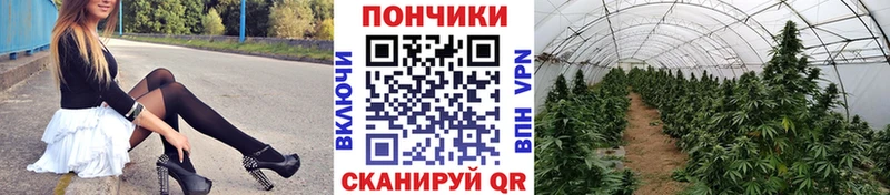 Бошки Шишки THC 21%  Зеленокумск 